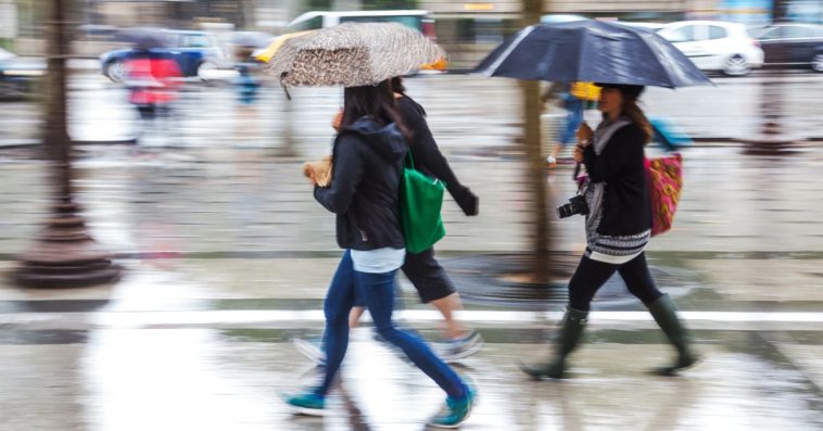 niż genueński do kiedy