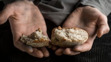 czy w polsce zabraknie chleba