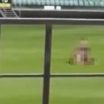 wrocław stadion para wykop