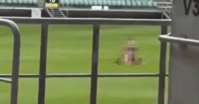 wrocław stadion para wykop