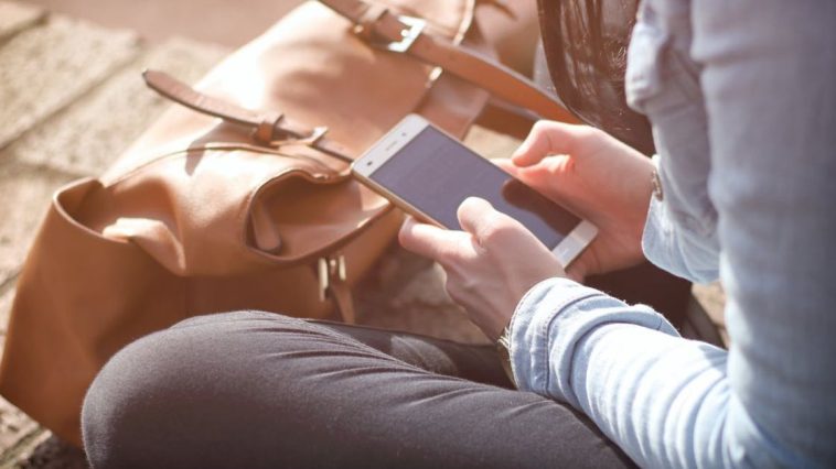 mobile viking roaming