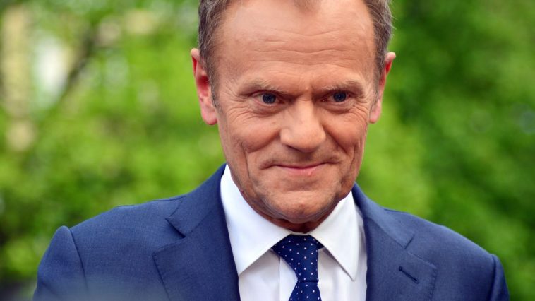 ibris donald tusk