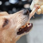 kości z prasowanej skóry dla szczeniaka