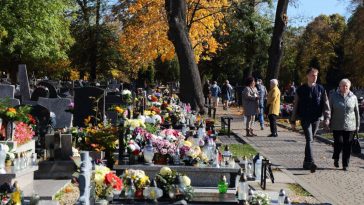 8 lat wiezienia za co