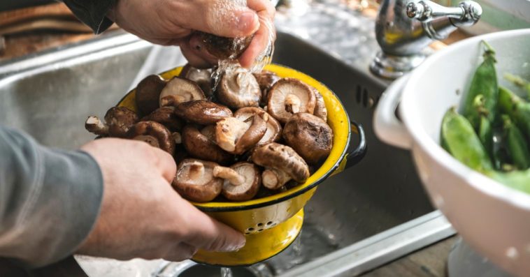 jak szybko i sprawnie oczyścić grzyby