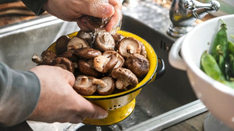 jak szybko i sprawnie oczyścić grzyby