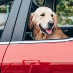 zamykanie okna w samochodzie bez włączania silnika