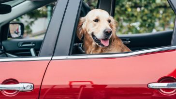 zamykanie okna w samochodzie bez włączania silnika