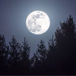 pełnia listopad 2025