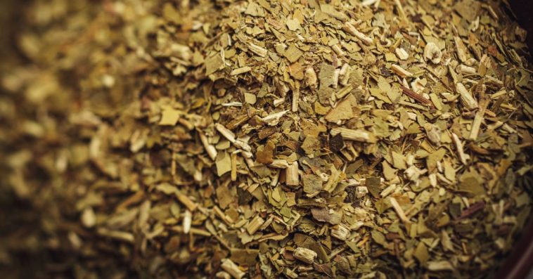 czy yerba mate jest zdrowa na żołądek