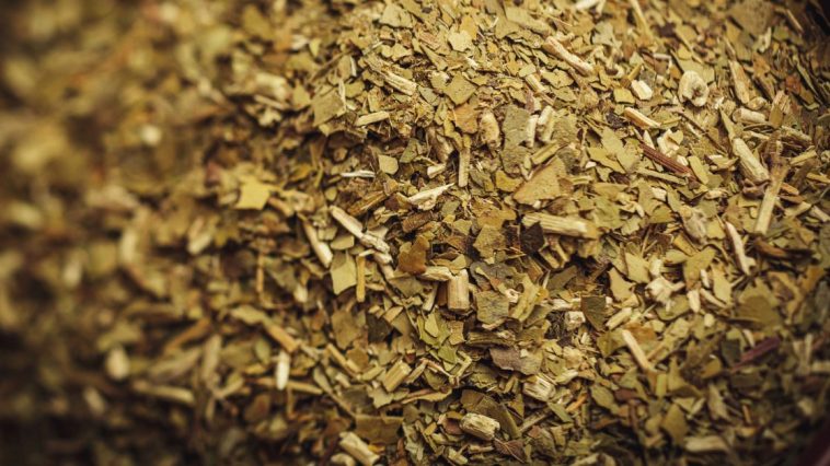 czy yerba mate jest zdrowa na żołądek