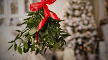 kiedy powiesić jemiołę