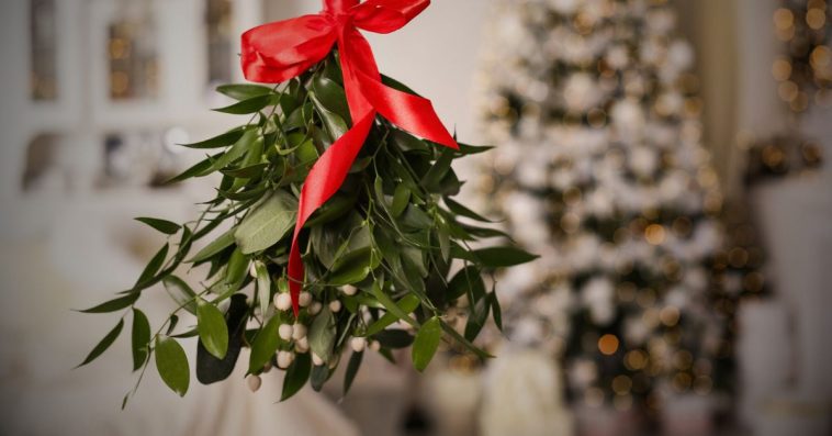 kiedy powiesić jemiołę