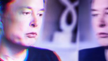 elon musk demografia