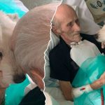 legnica szpital wojewódzki pies