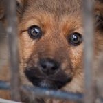 marian drewnik sobolew