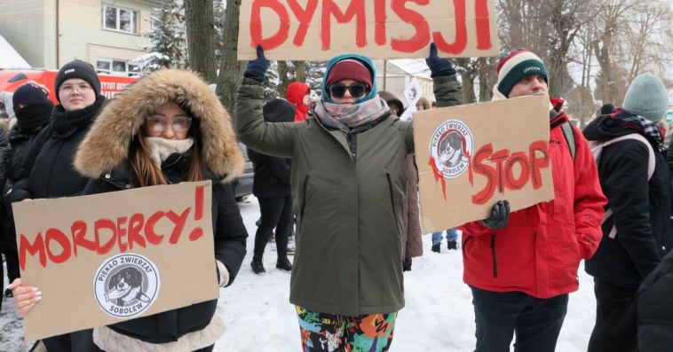 schronisko w sobolewie o co chodzi gdzie to jest doda