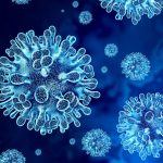 wirus nipah w polsce