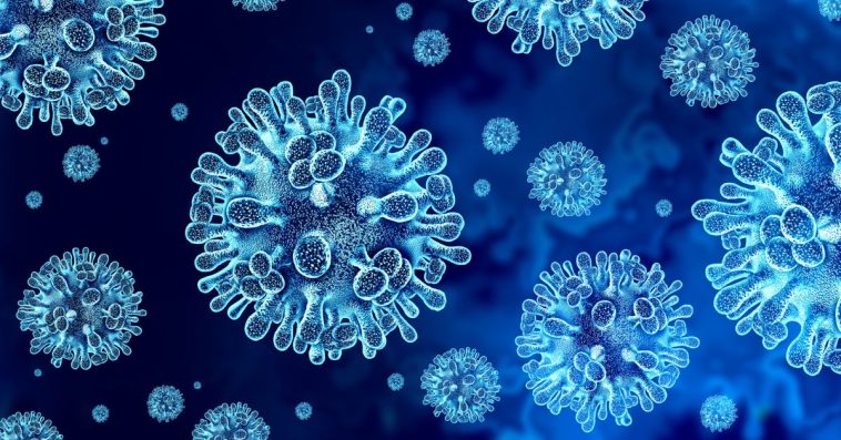 wirus nipah w polsce