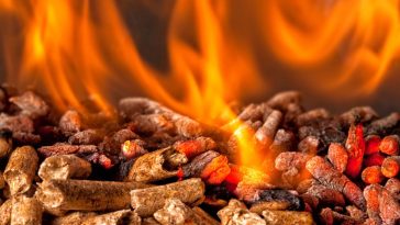 pellet dlaczego brakuje