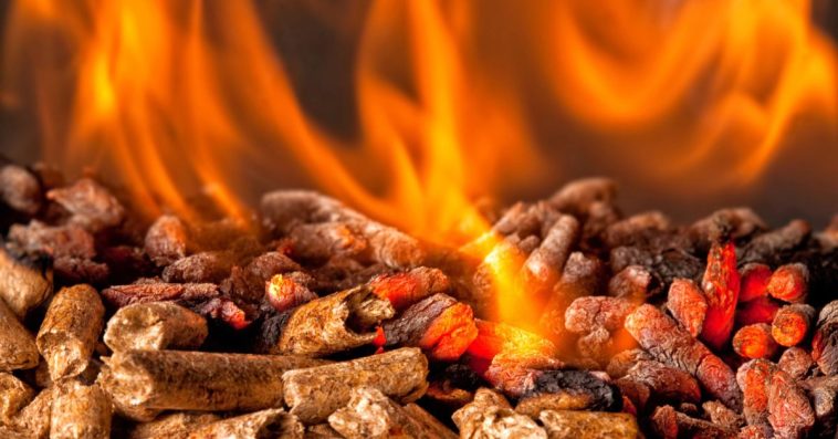 pellet dlaczego brakuje