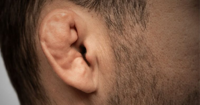 jak wyglądają kalafiorowe uszy