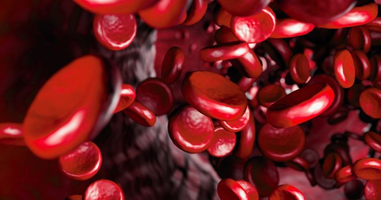 niski poziom ferrytyny objawy przyczyny żelazo w normie