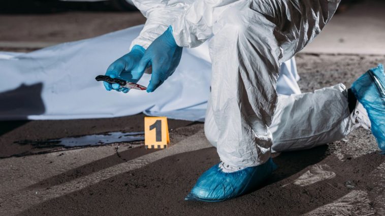 ile zarabia kryminolog w polsce