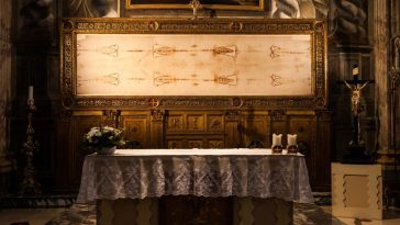 całun turyński dna