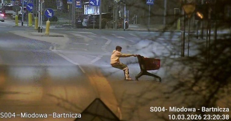 straż miejska płock zgłoszenia