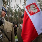 safe co to znaczy w polityce