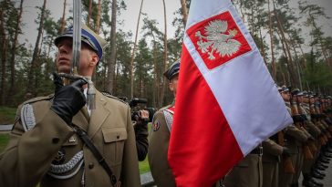 safe co to znaczy w polityce