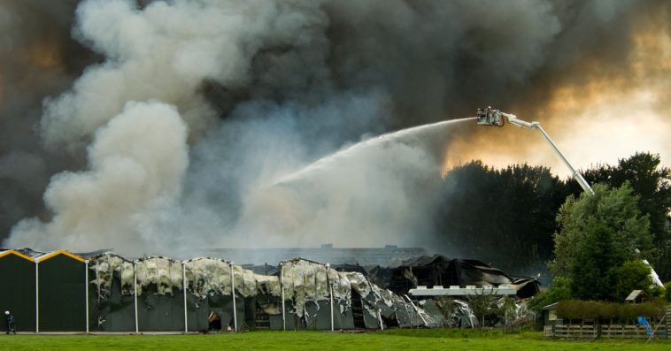 Dziardonice pożar hali