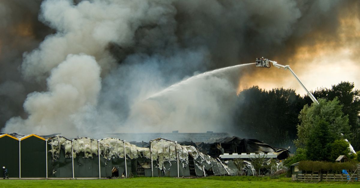 Dziardonice. Pożar hali produkcyjnej. 23 zastępy straży pożarnej w akcji