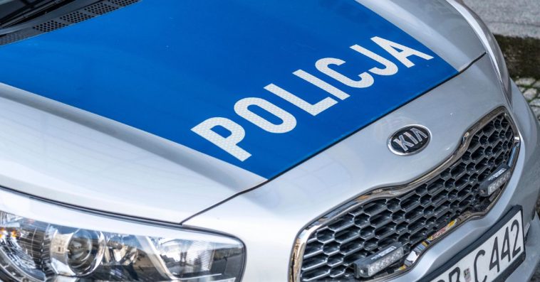 czy musze brac koszyk w sklepie