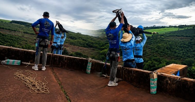 brazylia skok na bungee bez liny