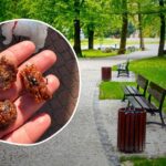włocławek zazamcze kod pocztowy
