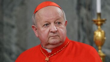 kardynal dziwisz z chlopakiem