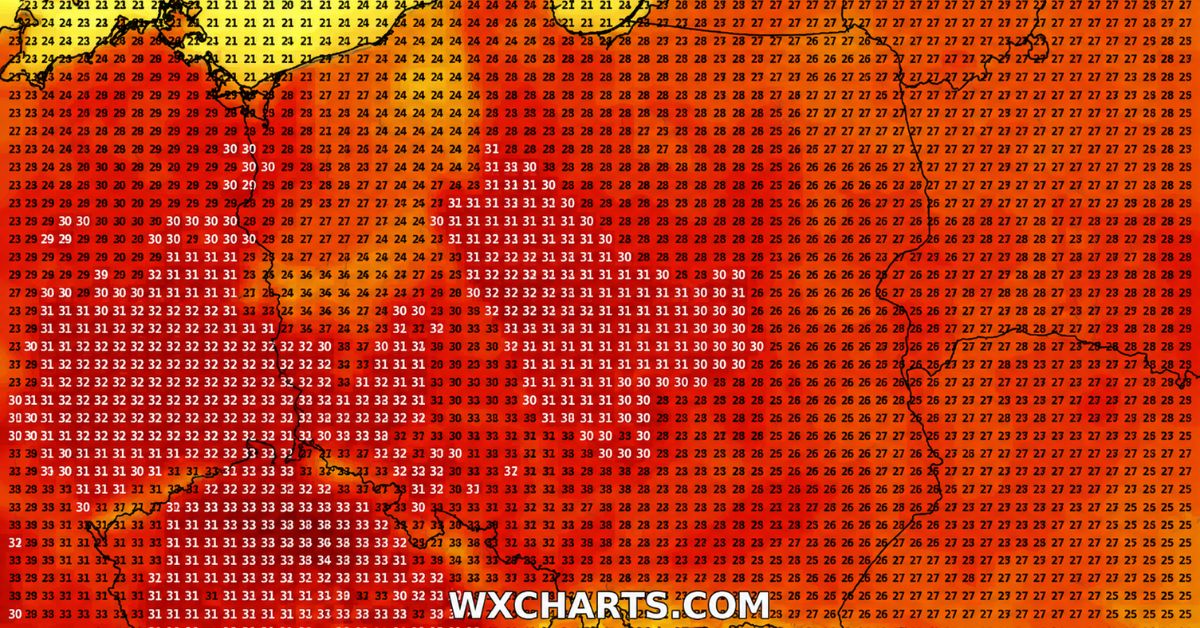 Skwar z piekła rodem zaleje całą Polskę. 42°C w cieniu to dopiero początek